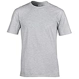 Gildan Premium T-Shirt für Männer (2XL) (Grau) XXL,G