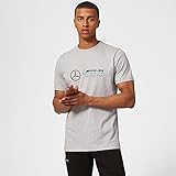 Herren T-Shirt mit großem Logo, Herren, Mercedes-AMG Petronas F1 - Großes Logo T-Shirt, grau, M