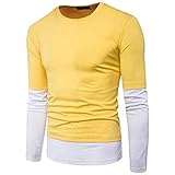 Herren Frühling und Herbst Übergang Leichtes Bottoming Shirt Lässige Mode Gefälschte Zweiteilige Rundhalsausschnitt Basic Baumwolle Langarm Pullover T-Shirt Top