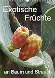 Exotische Früchte an Baum und Strauch (Wandkalender 2022 DIN A3 hoch)