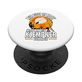 Klempner Halloween Besen Spruch Gas Wasser Scheiße PopSockets mit austauschbarem PopGrip