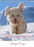 Lagotto Romagnolo - Lustige Zwerge (Tischkalender 2022 DIN A5 hoch)