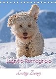 Lagotto Romagnolo - Lustige Zwerge (Tischkalender 2022 DIN A5 hoch)