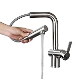 Homelody ausziehbar Küchenarmatur einhebelmischer Küche Wasserhahn Metall Brausekopf Spültischarmatur Edelstahl mit Brause Mischbatterie M