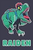 Raiden: School Dinosaur T-Rex Boys Name Dino Dinos Raiden, Lined Journal Composition Notebook, 100 Pages, 6x9, Soft Cover, Matte Finish, Back To School, Preschool, Kindergarten,