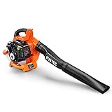 FUXTEC Benzin Laubbläser 2in1 FX-LB126 inkl. 2 Blasrohre – Auf Laubsauger erweiterbar – 2-Takt Motor – getestet Oberklasse 1,4 – Blasgeschwindigkeit 71 m/