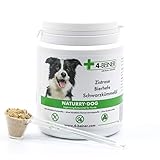 4-BEINER NATURRY-Dog – Zistrose (cistus incanus), Bierhefe und Schwarzkümmelöl für Hunde, Nahrungsergänzung enthält viele natürliche Vitamine & Mineralstoffe, 80 g Pulver für H