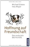 Hoffnung auf Freundschaft: Das erste Jahr des H