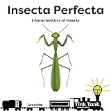Insecta Perfecta (English Edition)