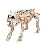 YZDKJDZ 19-Zoll-Hundeskelett-Modell, 3D-Tierskulptur-Harz-Handwerk, Für Pose-Skelett-Stütze Im Innen- Und Außenbereich, Halloween-Dek