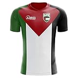 Airosportswear 2020-2021 Palestine Home Concept Football Soccer T-Shirt Trik