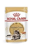 Royal Canin Maine Coon Adult Nassfutter für Katzen - Doppelpack - 2 x 12 x 85 g