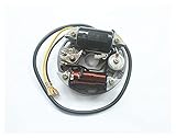 Cat and Mouse 6V 17W. Zundapp Kreidler Hercules passen für Zündwechselgelenkzuglässer Puch Stator Spule 17 W
