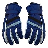 Skihandschuhe Winterhandschuhe, D-Rings Wasserfeste Winddicht Winter Handschuhe mit Feste Baumwolle und Baumwolle mit hoher Dichte für das Wintersport Ski Snowboard (A2)