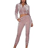 OEAK Damen Sportanzug 2 Teilig Samt Freizeitanzuge Straßenanzug Jogginganzug Trainingsanzug Langarm Jack mit Reißverschluss mit sporthosen laufenanzug(Pink，S)