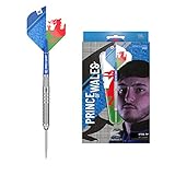 Target Darts Lewy Williams 1. Gen. 90% Wolfram Steeldarts-Set Dartpfeile (24 gr)
