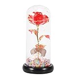 Joyzan LED Rosenlicht, süße Lichterkette Glasabdeckung und Holzsockel Rosenlampe Paar Dekorationen Blumenlicht Geschenke zum Muttertag Geburtstag Valentinstag(rot)