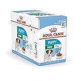 Royal Canin Mini Puppy / Junior Wet Hundefutter, 24 Packungen je 85 g für junge und heranwachsende kleine Hunderassen bis 10 M
