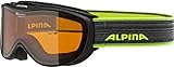 ALPINA Unisex - Erwachsene, CHALLENGE 2.0 DH Skibrille, black, O