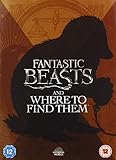Fantastic Beasts and Where to Find Them [DVD] [2020]