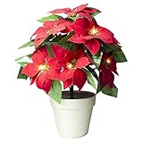 Uonlytech LED Künstliche Weihnachtsstern Pflanze Beleuchtet Topf Weihnachtsblume Batterie Betrieben für Urlaub Weihnachten Tisch Herzstück Wohnkultur (Keine Batterie)