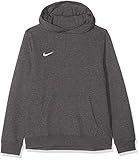 Nike Unisex-Kinder Hoodie Po Fleece Tm Club19 Kapuzenpullover, Grau (Charcoal Heathr/White/071), XS