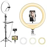 ZOMEI Ringleuchte, 12 Zoll / 30cm 20W dimmbare LED-Ringlicht mit Handyhalter und 170cm Stativ, 3 Beleuchtungsmodi & 10 Helligkeitsstufen für Fotografie/YouTube Video/TikTok/Live-Stream/Makeup
