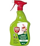 PROTECT GARDEN Lizetan Orchideen-Spray AF (ehem. Bayer Garten), anwendungsfertiges Insektenspray gegen Schädlinge an Orchideen (Wollläuse, Schmierläuse, Schildläuse, usw.), 500