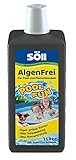 Söll 31130 AlgenFrei Pool Fun Algenmittel Reinigungsmittel flüssig 1 l - wirksamer Poolreiniger gegen Algen im Pool Planschbecken Schwimmbad Kinderbecken Swimmingpool Whirlp