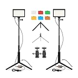 JINTU 2 Packs 96 LED-Videoleuchte 5600K USB Studio Lampe mit Stativständer-Kit, 6 Farbfilter für Tisch- / Live-Streaming, Kamera- / Konferenzbeleuchtung, Spiel-Streaming / YouTube-Videofotog