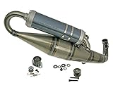 Auspuff MALOSSI MHR - GILERA Runner 180 FXR DT 2T LC