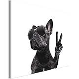 Revolio 50x50 cm Leinwandbild Wandbilder Wohnzimmer Modern Kunstdruck Design Wanddekoration Deko Bild auf Leinwand Bilder 1 Teilig - Tiere französische Bulldogge Schwarze B