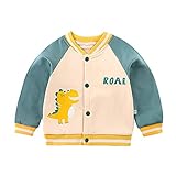 winying Unisex Baby Fleece Jacke Langarm Mantel mit Zipper Kapuze mit Tier Ohren Warme Herbst Winter Bekleidung Party Geburtstag Outfits Grün C 18-24 M