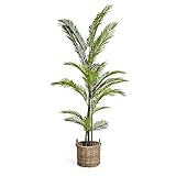 4Ever Green Künstliche Große Grüne Phoenix Palme Farnpalme Kokospalme Baum Kunstpflanze Kunstblume Kunstbaum Zimmerpflanze im Plastik Topf, 220 cm H