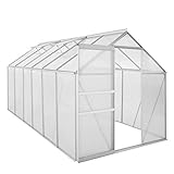 Zelsius Aluminium Gewächshaus für den Garten | 380 x 190 cm | 6 mm Platten | Vielseitig nutzbar als Treibhaus, Tomatenhaus, Frühb
