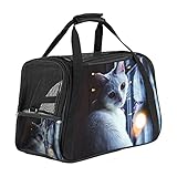 Xingruyun Hundebox Süße Katze 038 Transportbox Netter Druck Hundetransportbox Faltbare Katzenbox Kratzfestes Oxford-Tuch Haustiertragetasche 43x26x30