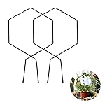 Garten Pflanzenstütze Rankhilfe Tomaten Topfpflanzen Rankhilfe Gartenpflanze Halterung Klettern Stützrahmen Hexagon für Mini-Kletterpflanzen Kletterhilfe Rankgestell für Drinnen und Draußen 2 Stück