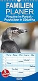 Pinguine im Portrait - Frackträger in Südafrika (Wandkalender 2022, 21 cm x 45 cm, hoch) [Calendar] und Yvonne Herzog, M