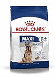 Royal Canin Maxi Adult, 5+, 15 kg, 1er Pack (1 x 15 kg Packung), H