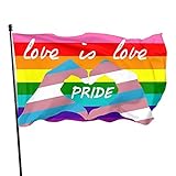 Lewiuzr Gay Pride Flagge LGBT Regenbogen Fahne LGBTQ Banner Flaggen, Wetterfeste Fahnen und Flaggen mit Messing-Ösen, 150 x 90 cm, für LGBTQ Festival und F