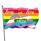 Lewiuzr Gay Pride Flagge LGBT Regenbogen Fahne LGBTQ Banner Flaggen, Wetterfeste Fahnen und Flaggen mit Messing-Ösen, 150 x 90 cm, für LGBTQ Festival und F