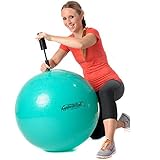 PEZZI Original Gymnastik Ball 65cm Plus Pumpe Sitz Therapie Pilates Aerobic grü
