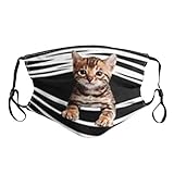 Lulupi Katze Mundschutz Multifunktionstuch 3D Druck Bandana Maske Waschbar Baumwolle Stoffmaske Alltagsmaske Katzenmotiv Tiermotiv Mund und Nasenschutz Face Halstuch S