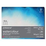 Winsor & Newton 6664006 Professional Aquarellpapier im Block - 20 Blatt 22,9 x 30,5cm , 300g/m², Satiniert, helles natürliches weißes Papier in archivierbarer Qualität, gilbbeständig