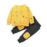 NBAA Kinder Herbst und Winter Sport Zweiteiliger Anzug Baby Jungen Mädchen Langarm Rundhals Pullover Sweatshirts Tops + Hosen Komfortabel Sportbekleidung Beiläufig Outfits (6 Monate -4 Jahre)