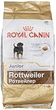 ROYAL CANIN Rottweiler 31 Junior 12 kg, 1er Pack (1 x 12 kg)