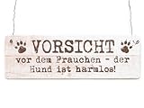 Interluxe Shabby Vintage Schild Dekoschild Türschild Vorsicht VOR DEM Frauchen DER Hund IST HARMLOS