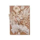 Getrocknete Blumen Deko Für Epoxidharz Klein Weiß Set Strohblumen Mehrere Natürliche Gänseblümchenblumen Mehrere Gemischte Gepresste Blumen Resin Blumen Für Anhänger Schmuck Handwerk Dek