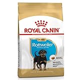 Royal Canin Rottweiler Junior 12 kg