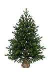 eveXmas 90cm Künstlicher Weihnachtsbaum, Tannenbaum Altair Traditioneller Grün, 137 Zweige 100% PE-Spitzen, inkl. dekorativem Ständer im Sack